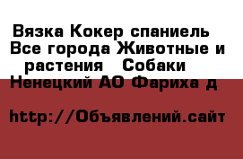 Вязка Кокер спаниель - Все города Животные и растения » Собаки   . Ненецкий АО,Фариха д.